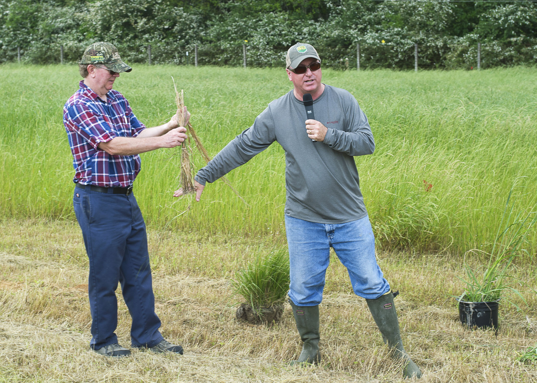 Market trends, management strategies highlight cattle field day